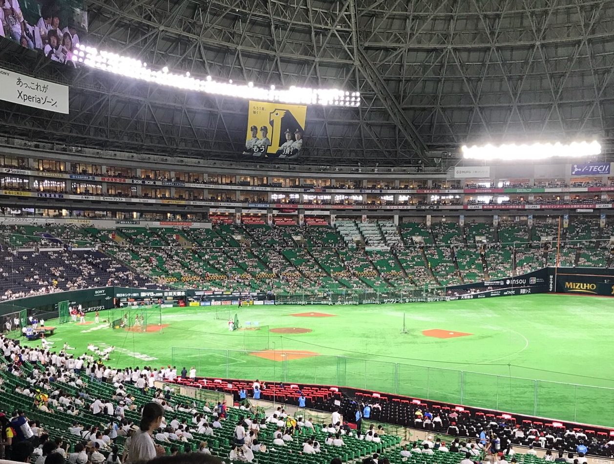 ジャイアンツ6/10(土) PayPayドーム vs巨人 みずほSS - 野球